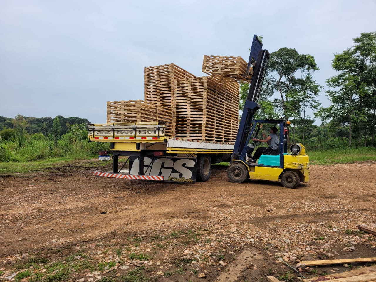 GGS Pallets novos e usados